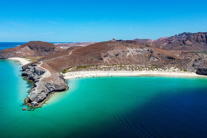 Whale sharks and sea lions snorkeling plus Balandra beach lunch - Good To Know