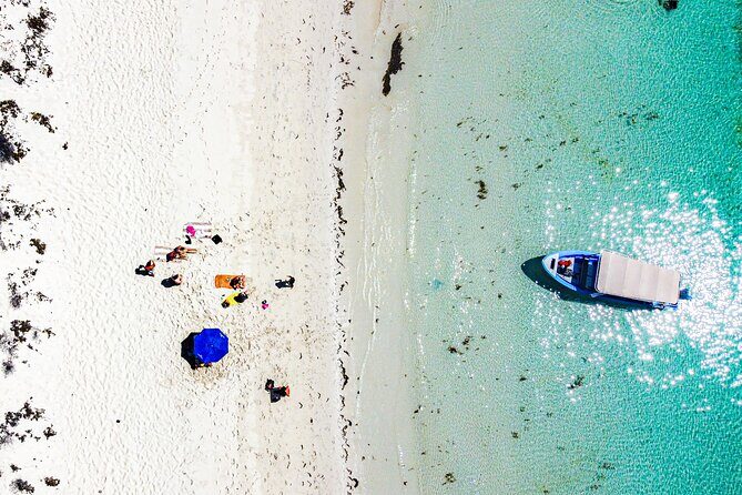 Whale sharks and sea lions snorkeling plus Balandra beach lunch - Why This Tour Offers Real Value