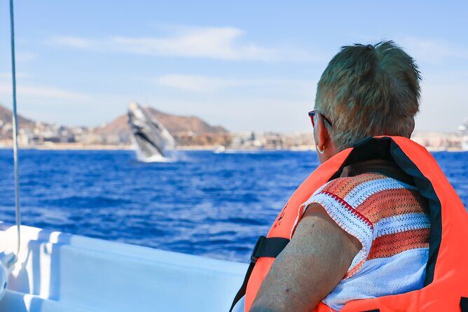 Whale Tour c/ Certified Guide, Photos & Hydrophone - Good To Know