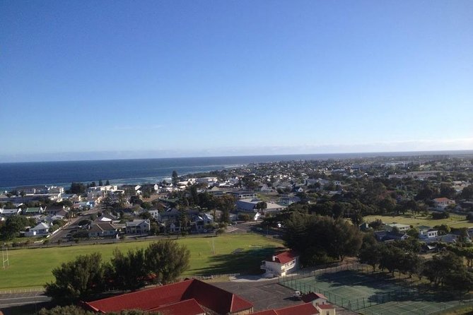 Whale Tour - Best Time to Go