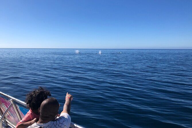 Whale Tour, Sail to Cabo San Lucas Arc + Food - Final Thoughts
