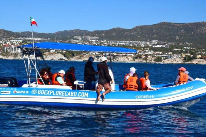 Whale Watch Cabo: Zodiac Whale Adventure - FREE Photos - Included Amenities