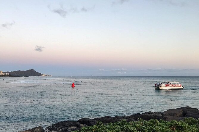 Whale Watch, Dolphins, Turtles and Sightseeing Cruise (Winter Only) - Common Questions