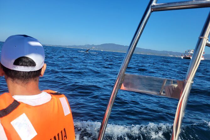 Whale watching 3 hours in Puerto Vallarta - FAQ