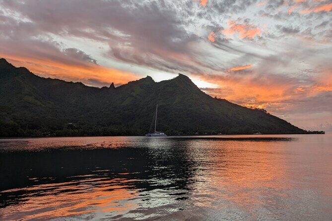 Whale watching 6 people half day - Practical Details