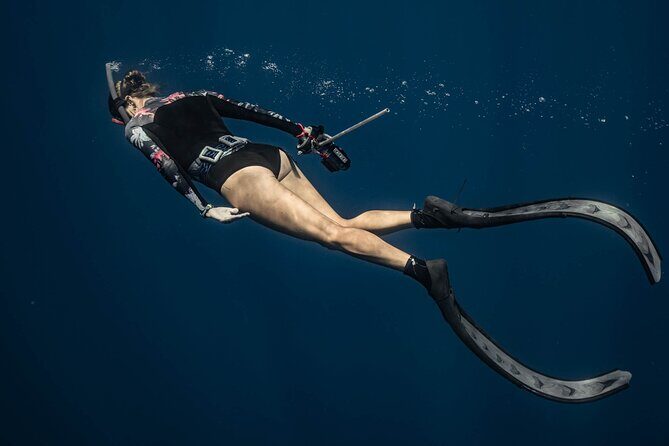 Whale watching 6 people half day - The Sum Up