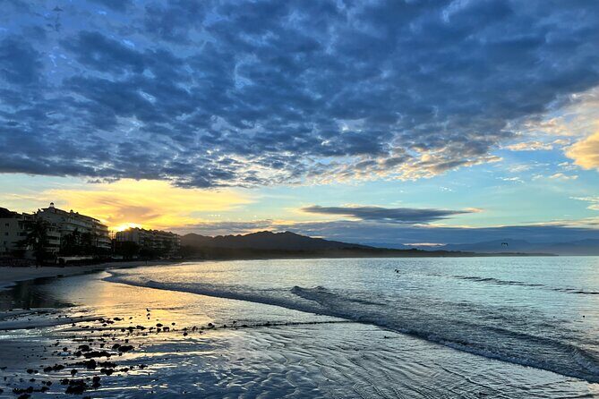 Whale watching - Good To Know