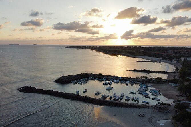 Whale watching - The Experience: A Deep Dive into the Whale-Watching Tour