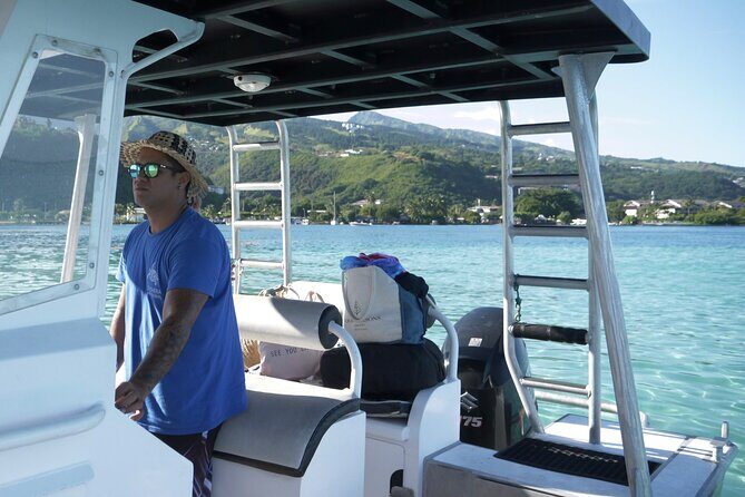 Whale Watching Activity - The Sum Up: The Value of Small-Group Whale Watching in Tahiti