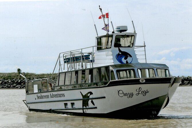 Whale Watching Adventure from Vancouver BC - Final Thoughts