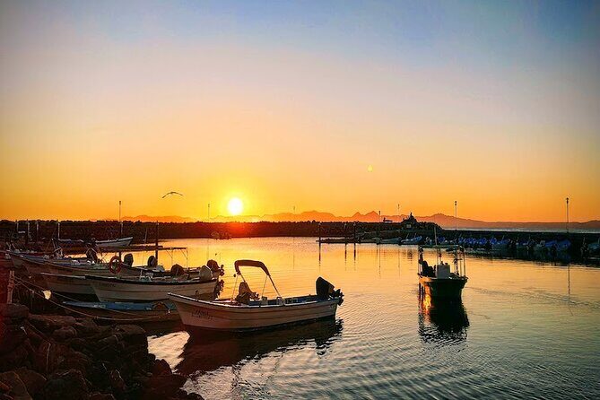 Whale Watching Adventure in Loretos Sea of Cortez - FAQ