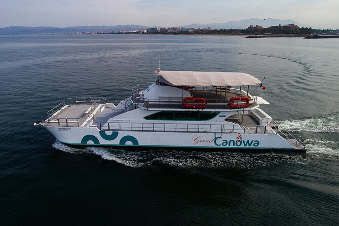 Whale Watching Adventure In Puerto Vallarta - Departure Points