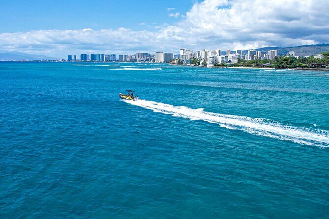 Whale Watching Adventure -Speed Boat & Small Group - Final Thoughts: Authentic, Engaging, and Exclusive