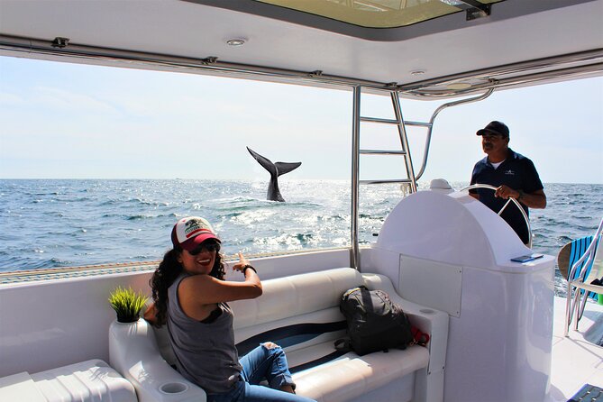 Whale Watching Adventure With Pick up From Los Cabos Hotels - Watching the Whales