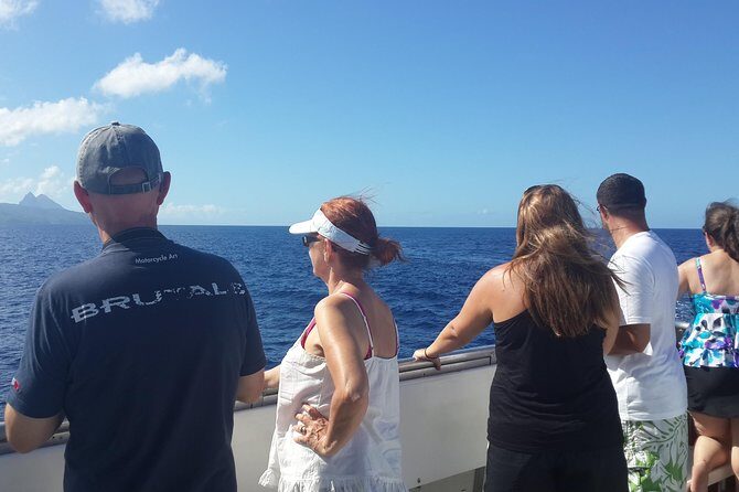 Whale Watching and Dolphin Spotting Cruise - Practical Tips for Your Trip