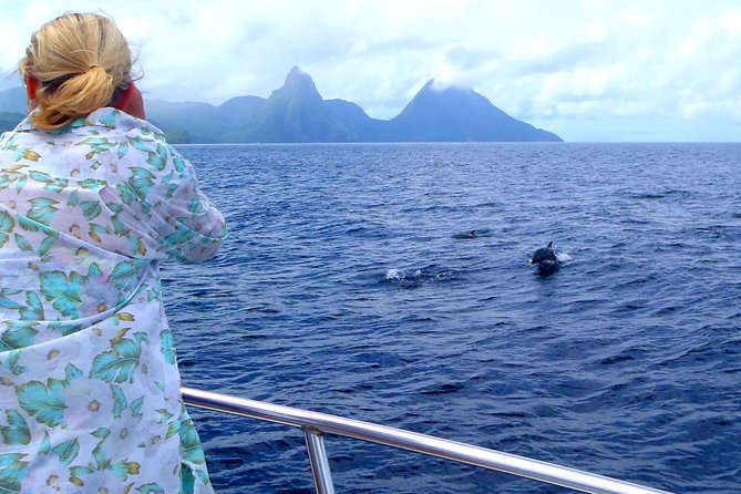Whale Watching and Dolphin Spotting Cruise - Good To Know