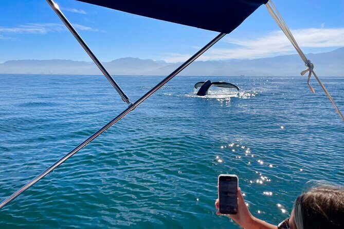 Whale Watching and Los Arcos 5 Islands Adventure - Final Thoughts