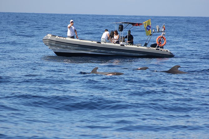 Whale Watching and Marine Science Tour - Tour Overview and Details