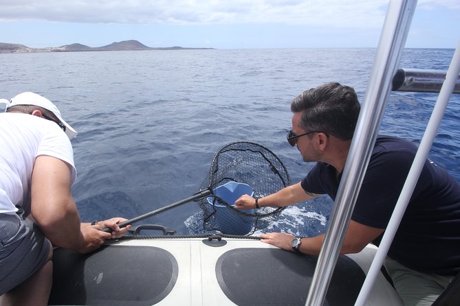 Whale Watching and Marine Science Tour - Common Questions