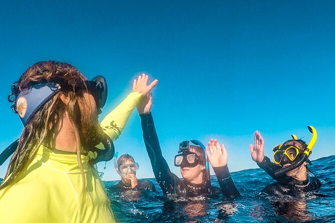 Whale Watching and Swim With Whales Cruise From Mooloolaba - The Sum Up
