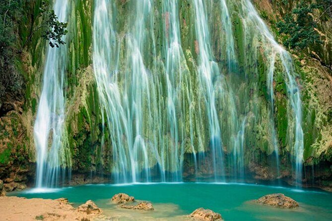 Whale Watching and Waterfalls in Samana Province - Final Thoughts