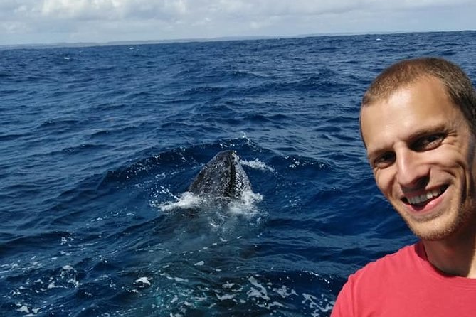 Whale Watching Boat Tour in Geraldton - Meeting and Pickup Information