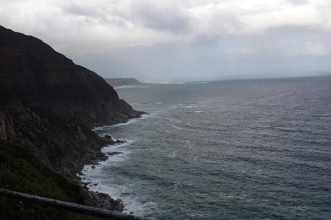 Whale Watching Boat Trip in Hermanus - Types of Whales in Hermanus