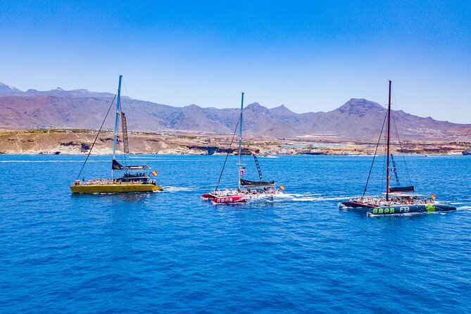Whale Watching Catamaran in Costa Adeje (Including Drinks & Sandwich) - Common Questions
