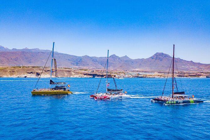 Whale Watching Catamaran to Los Gigantes & Masca (Including Drinks & Warm Lunch) - Reviews and Experiences