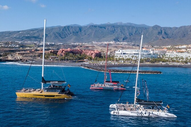 Whale Watching Catamaran to Los Gigantes & Masca (Including Drinks & Warm Lunch) - Service Shortcomings