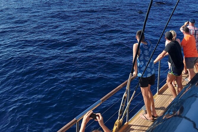 Whale Watching Catamaran to Los Gigantes & Masca (Including Drinks & Warm Lunch) - Must-See Experience