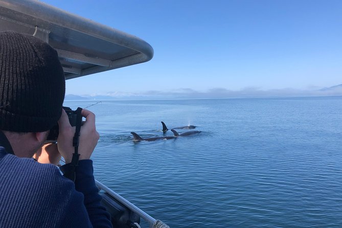 Whale Watching Charters Through Icy Strat Alaska - Location and Duration