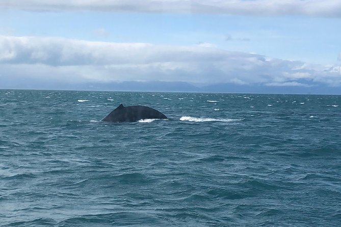 Whale Watching Charters Through Icy Strat Alaska - Directions