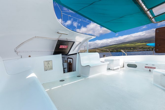 Whale Watching Cruise With Open Bar From Kaanapali Beach - Positive Customer Reviews