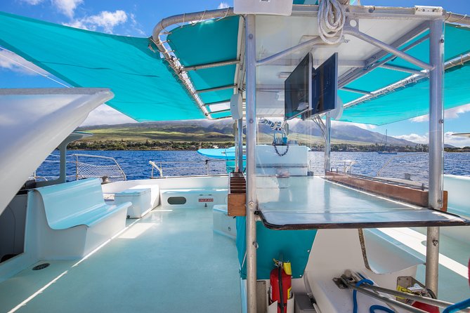 Whale Watching Cruise With Open Bar From Kaanapali Beach - Additional Resources and Information
