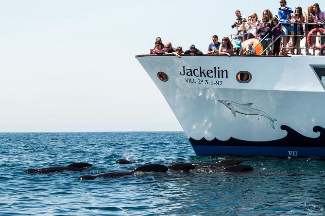 Whale Watching - Directions