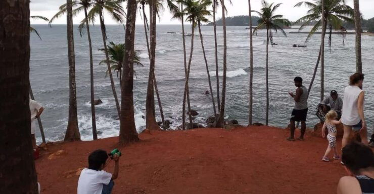 Whale Watching Day Tour to Mirissa - Experience and Highlights