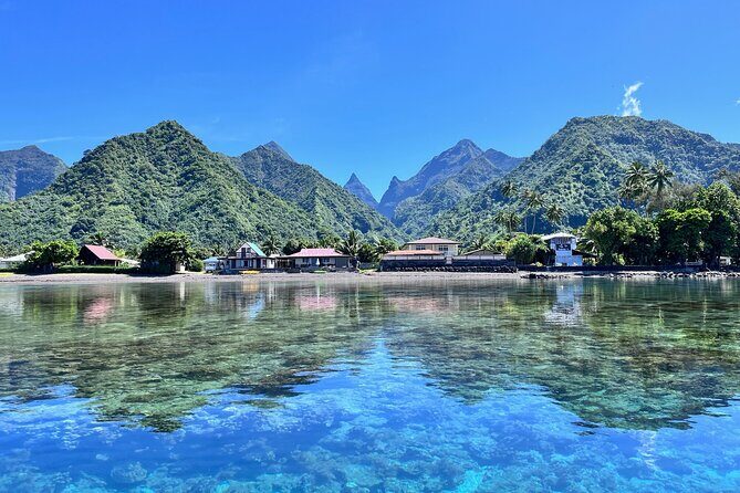 Whale watching DE Tahiti Peninsula - Discovering the Magic of Whale Watching on Tahiti’s Peninsula