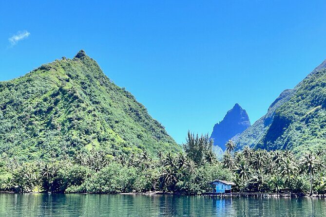 Whale watching DE Tahiti Peninsula - Good To Know