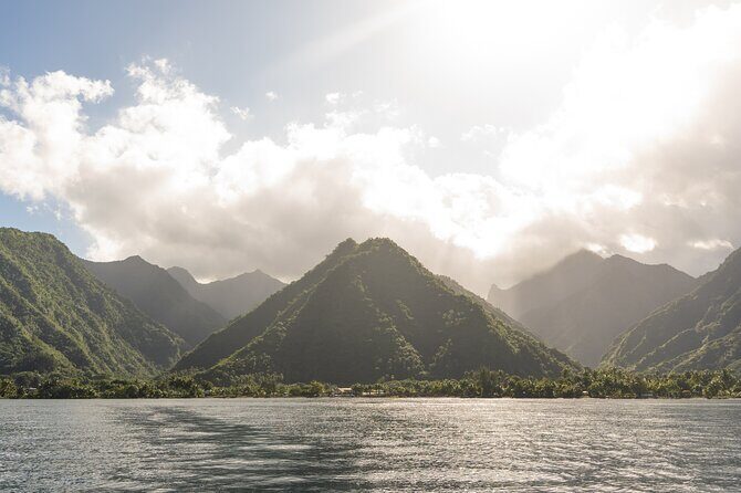 Whale watching DE Tahiti Peninsula - Who Should Consider This Tour?