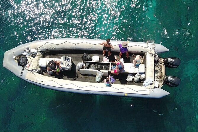 Whale Watching Expedition on Kauai - Detailed Review of the Whale Watching Experience