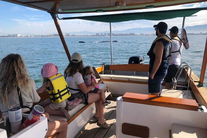 Whale Watching Experience  4 Hours in Puerto Vallarta - Good To Know