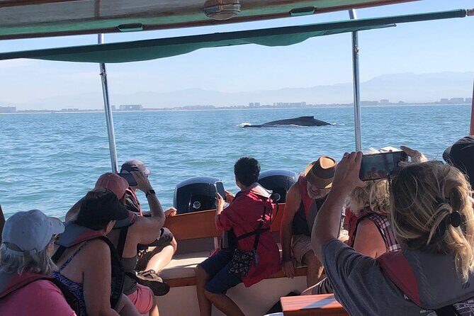 Whale Watching Experience  4 Hours in Puerto Vallarta - An In-Depth Look at the Whale Watching Tour in Puerto Vallarta
