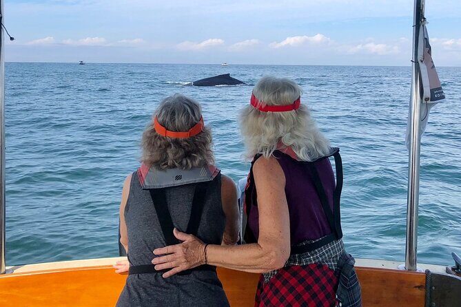 Whale Watching Experience  4 Hours in Puerto Vallarta - Final Thoughts