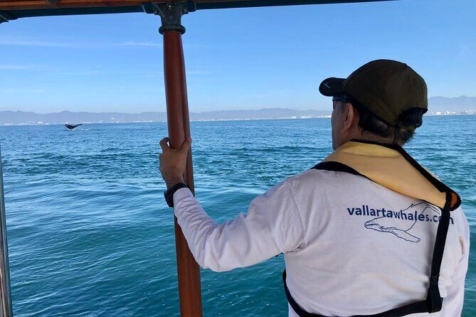 Whale Watching Experience in Puerto Vallarta - Who Would Love This Experience?