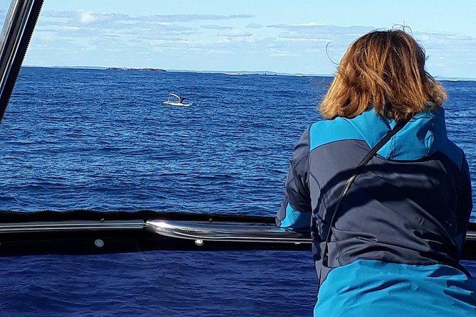 Whale Watching From Augusta in Western Australia - The Sum Up