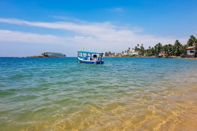 Whale Watching from Beruwala on Shared Boat - Good To Know