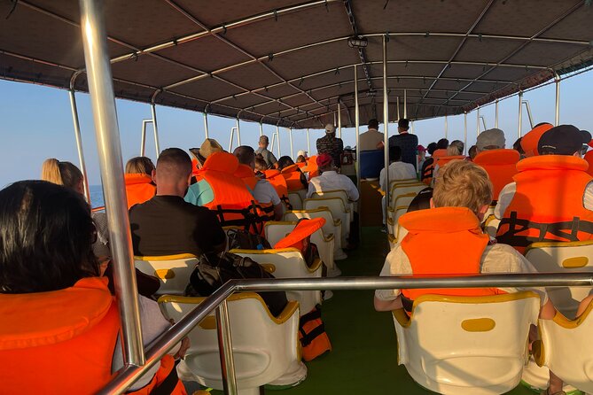 Whale Watching From Colombo - Highlights