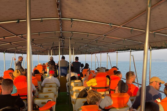 Whale Watching From Colombo - How to Book