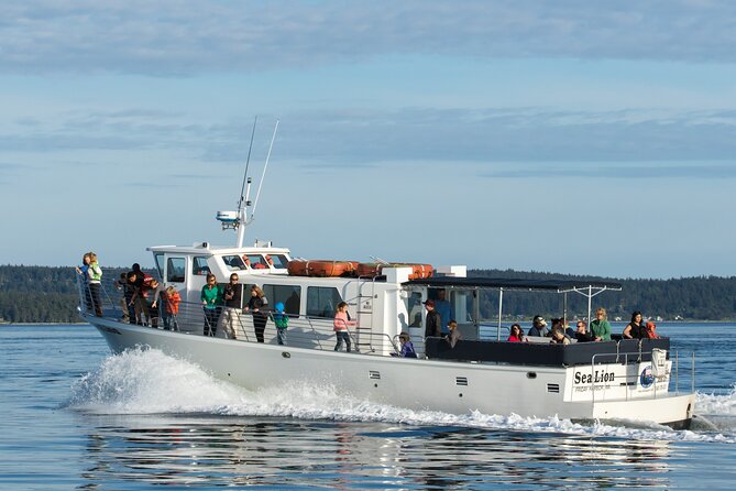 Whale Watching From Friday Harbor - Pricing and Booking